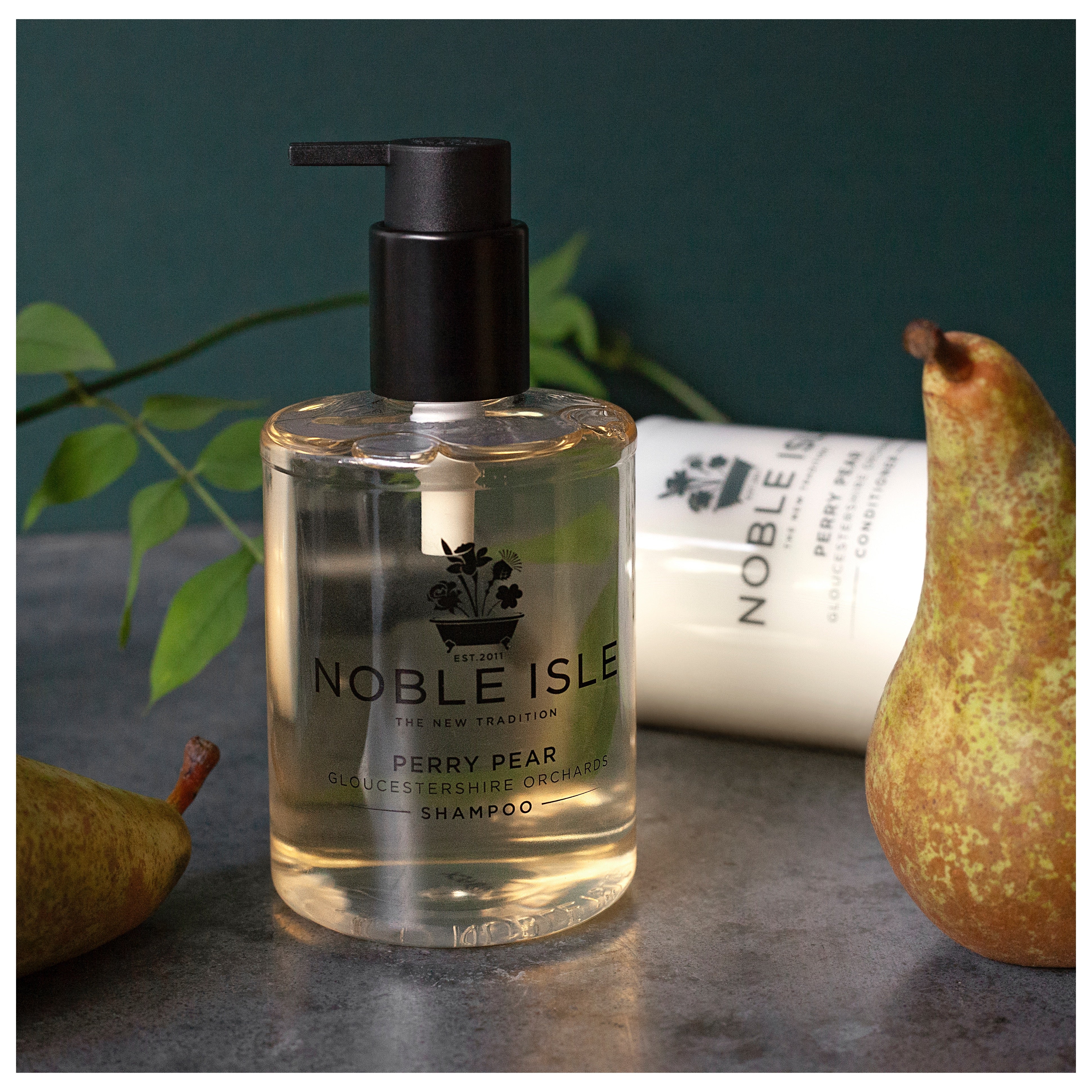 PERRY PEAR SHAMPOO 250 ML