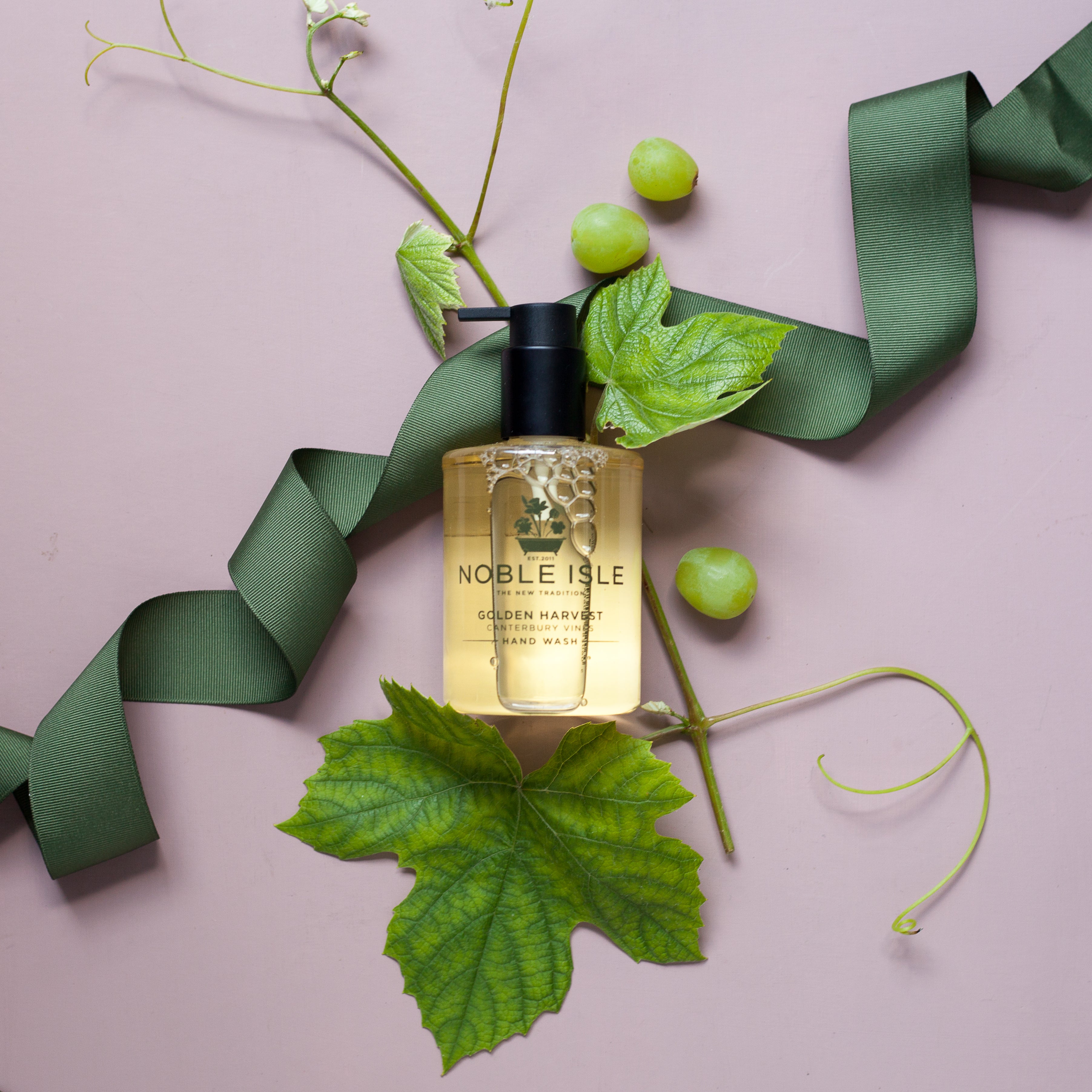 GOLDEN HARVEST HAND WASH 250 ML