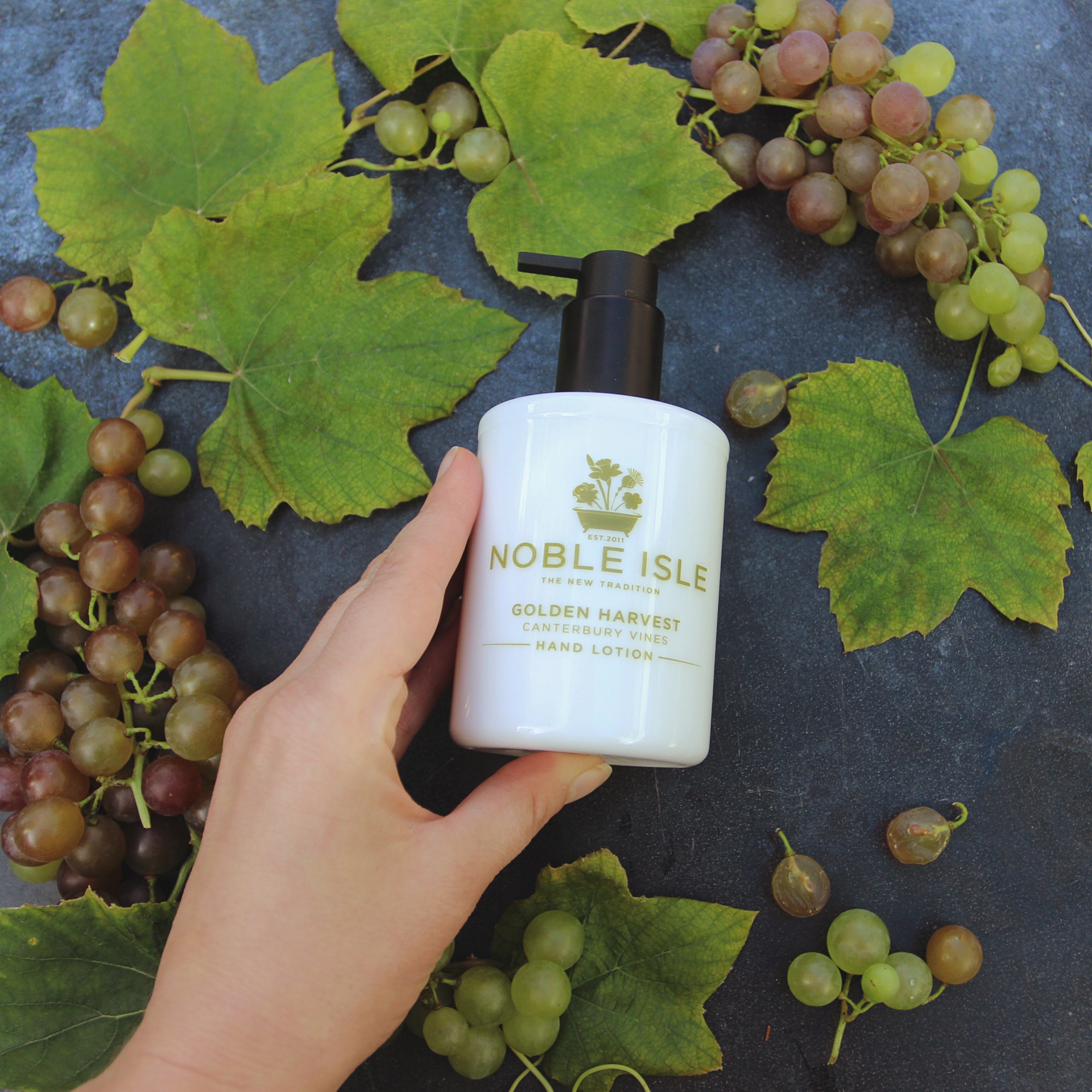 GOLDEN HARVEST CREMA MANI 250 ML