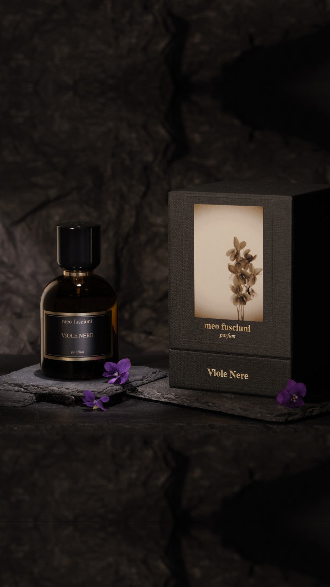 VIOLE NERE