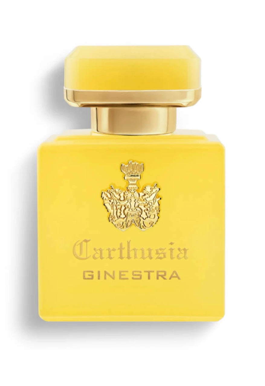 INTENSO DI GINESTRA